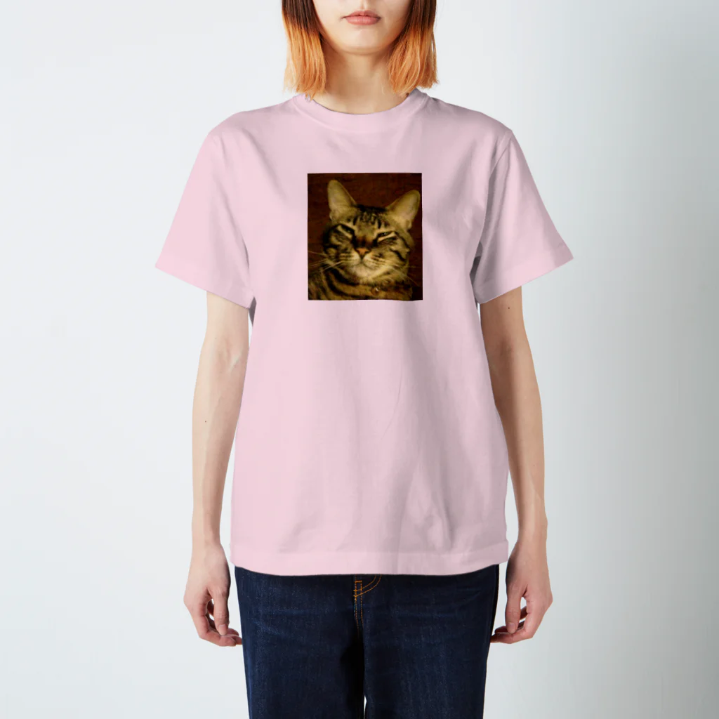 幸せを運ぶ福猫ピー助の幸せを運ぶトラ猫 スタンダードTシャツ