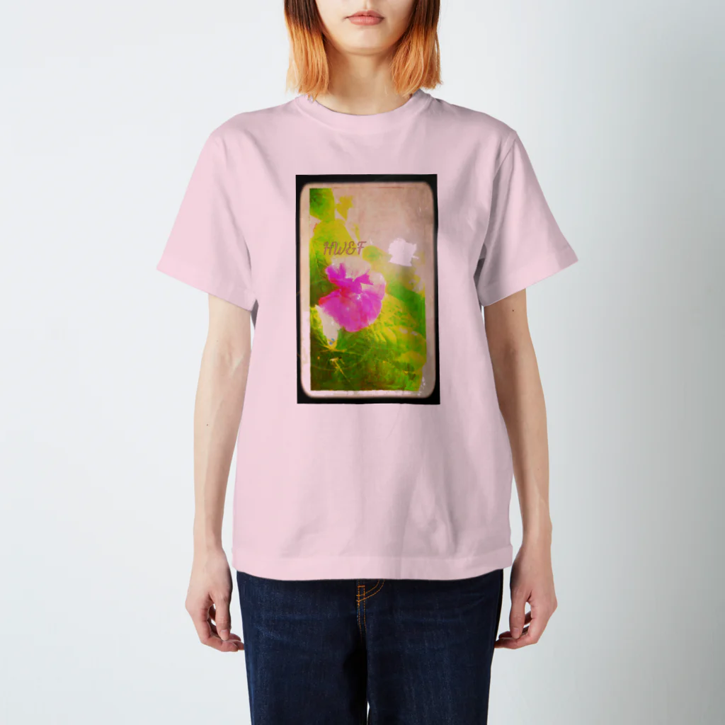 ふぃろのHW&Fと朝顔の花 スタンダードTシャツ