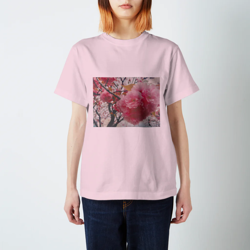 swimmyzのSAKURA Regular Fit T-Shirt