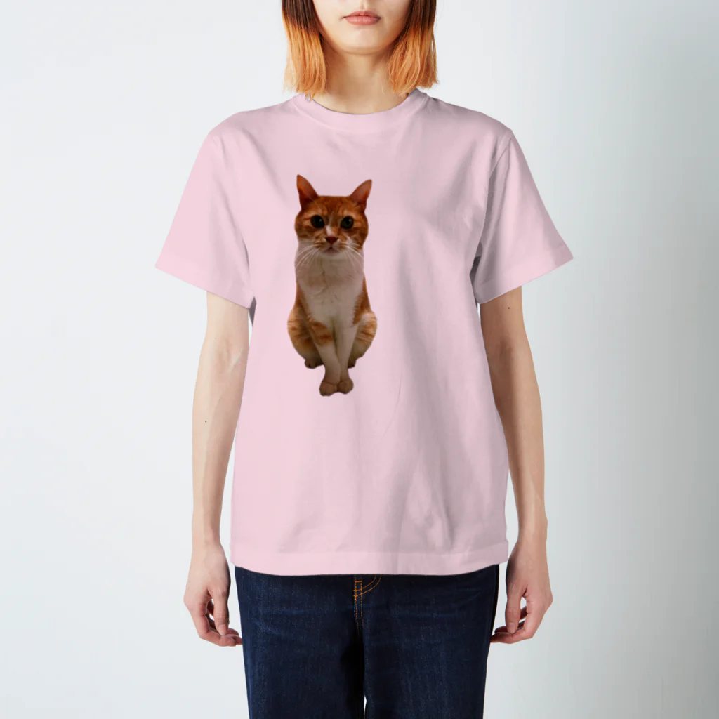 mazicaruayanyanのおじじ猫 Regular Fit T-Shirt