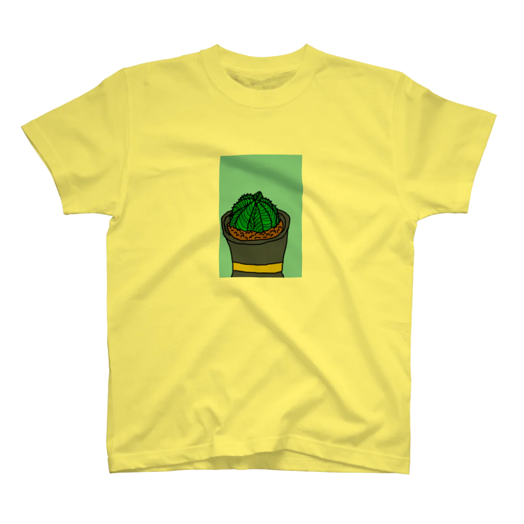 TawashiのEuphorbia スタンダードTシャツ