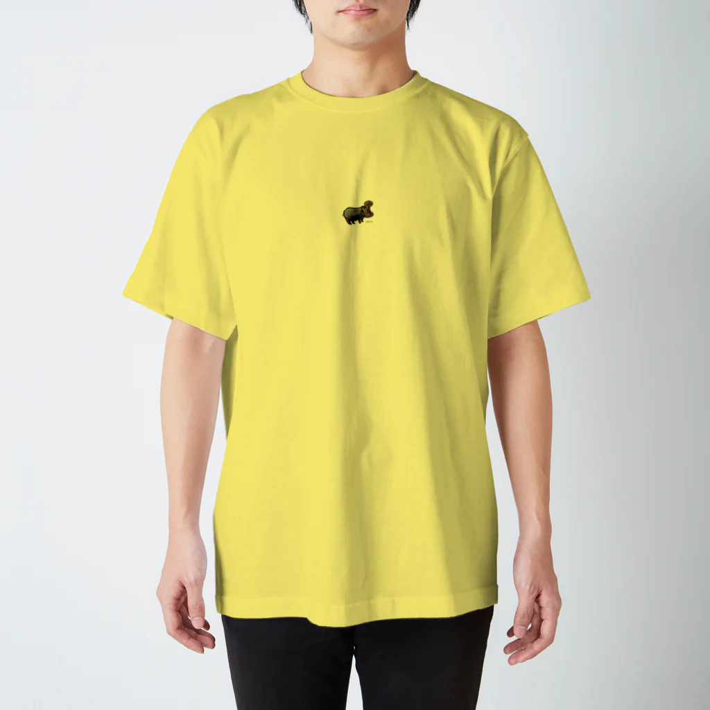 fdy.incのHipo_OpenMouth Regular Fit T-Shirt