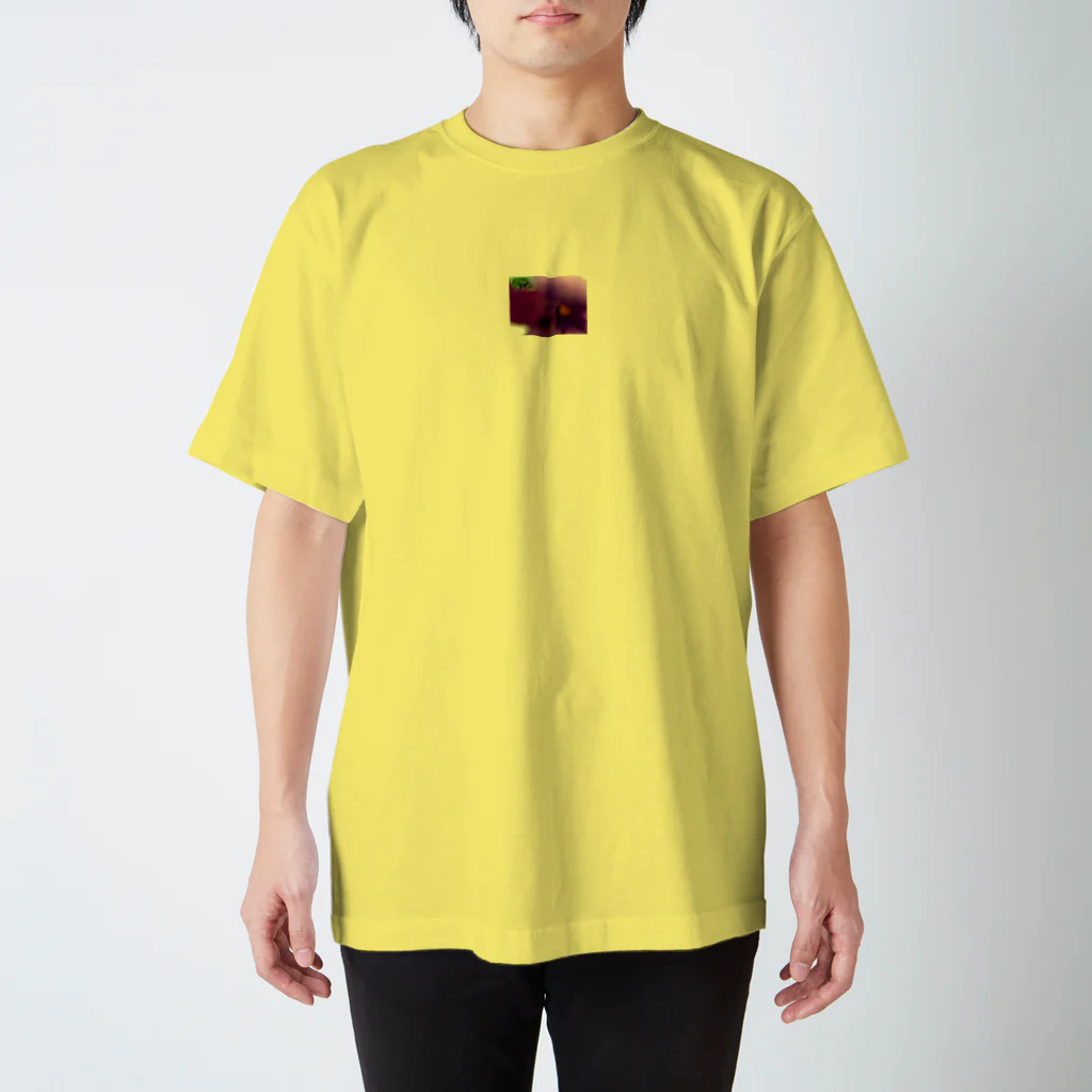 kokoroのハンジー スタンダードTシャツ