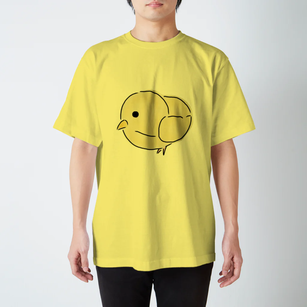 Nのリアルひよこ スタンダードTシャツ