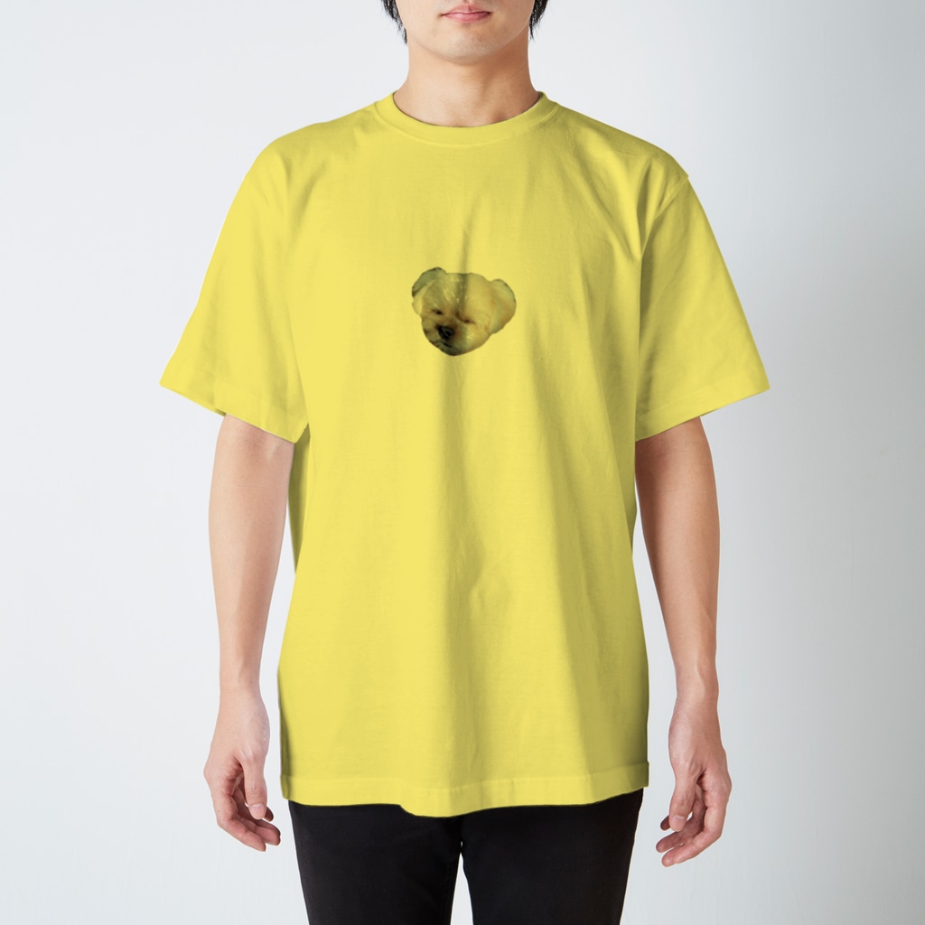 ポメラニアン×シーズーむーちゃんのポメシーむーちゃん目瞑り Regular Fit T-Shirt