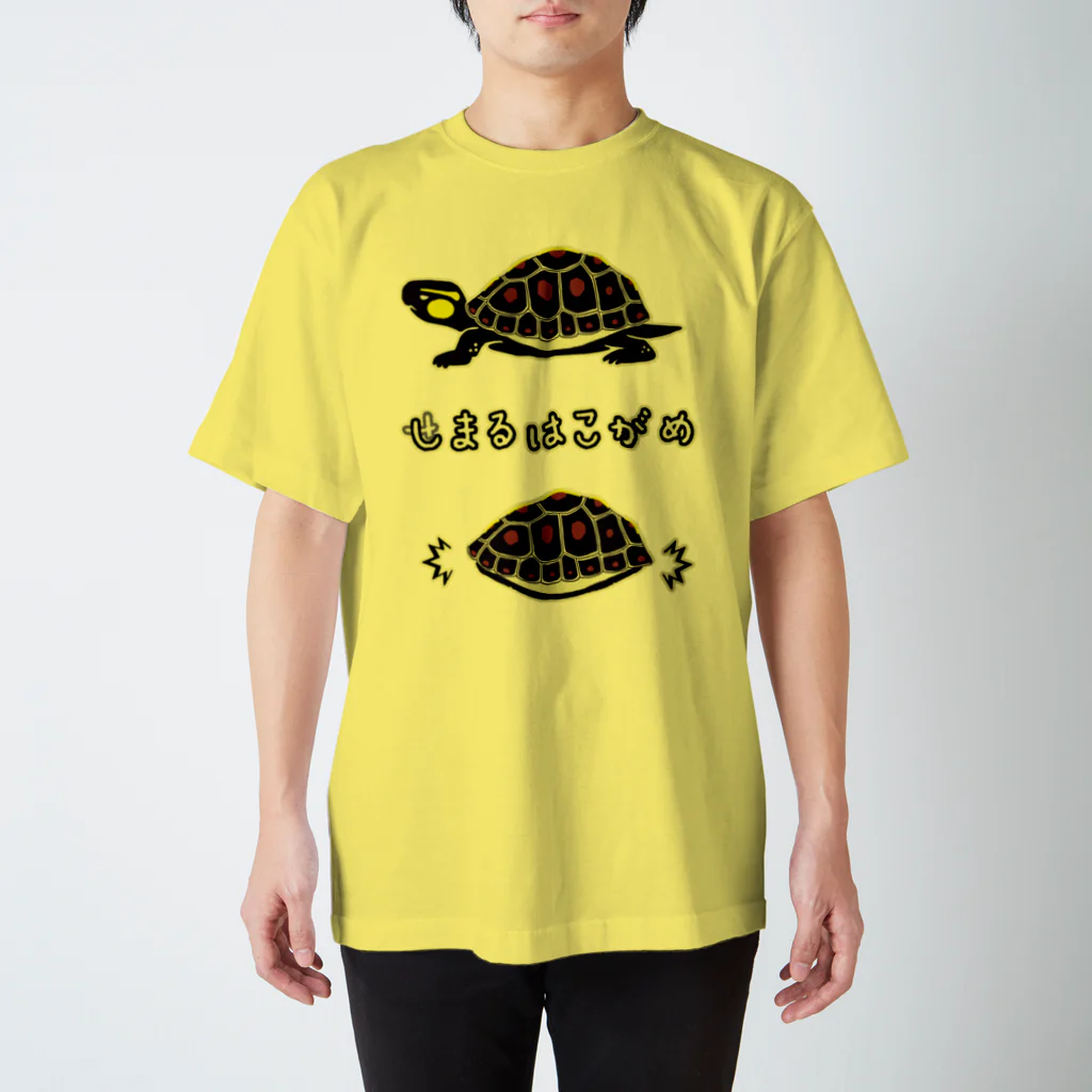 くいなの母のしまるはこがめ スタンダードTシャツ