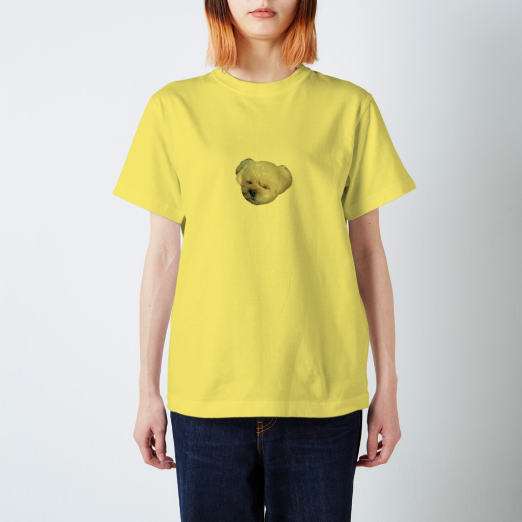 ポメラニアン×シーズーむーちゃんのポメシーむーちゃん目瞑り Regular Fit T-Shirt