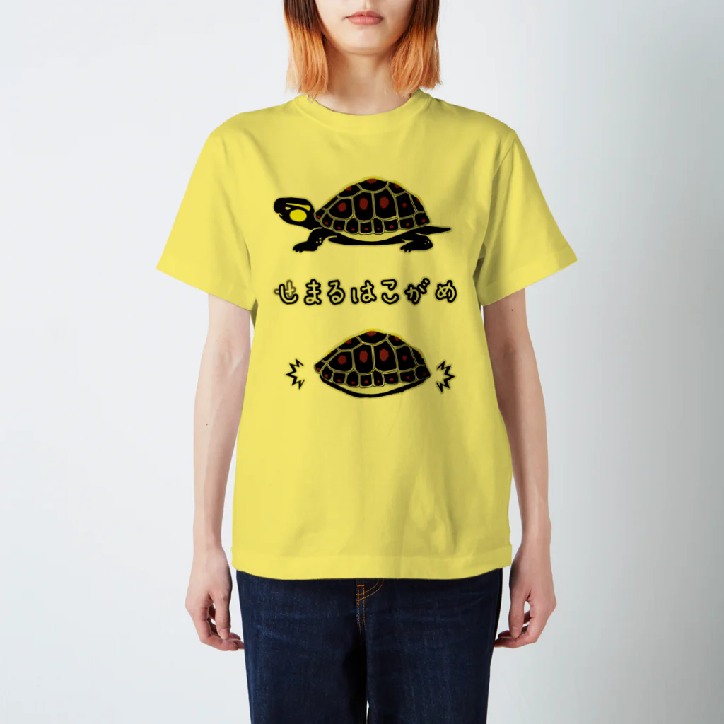 くいなの母のしまるはこがめ スタンダードTシャツ