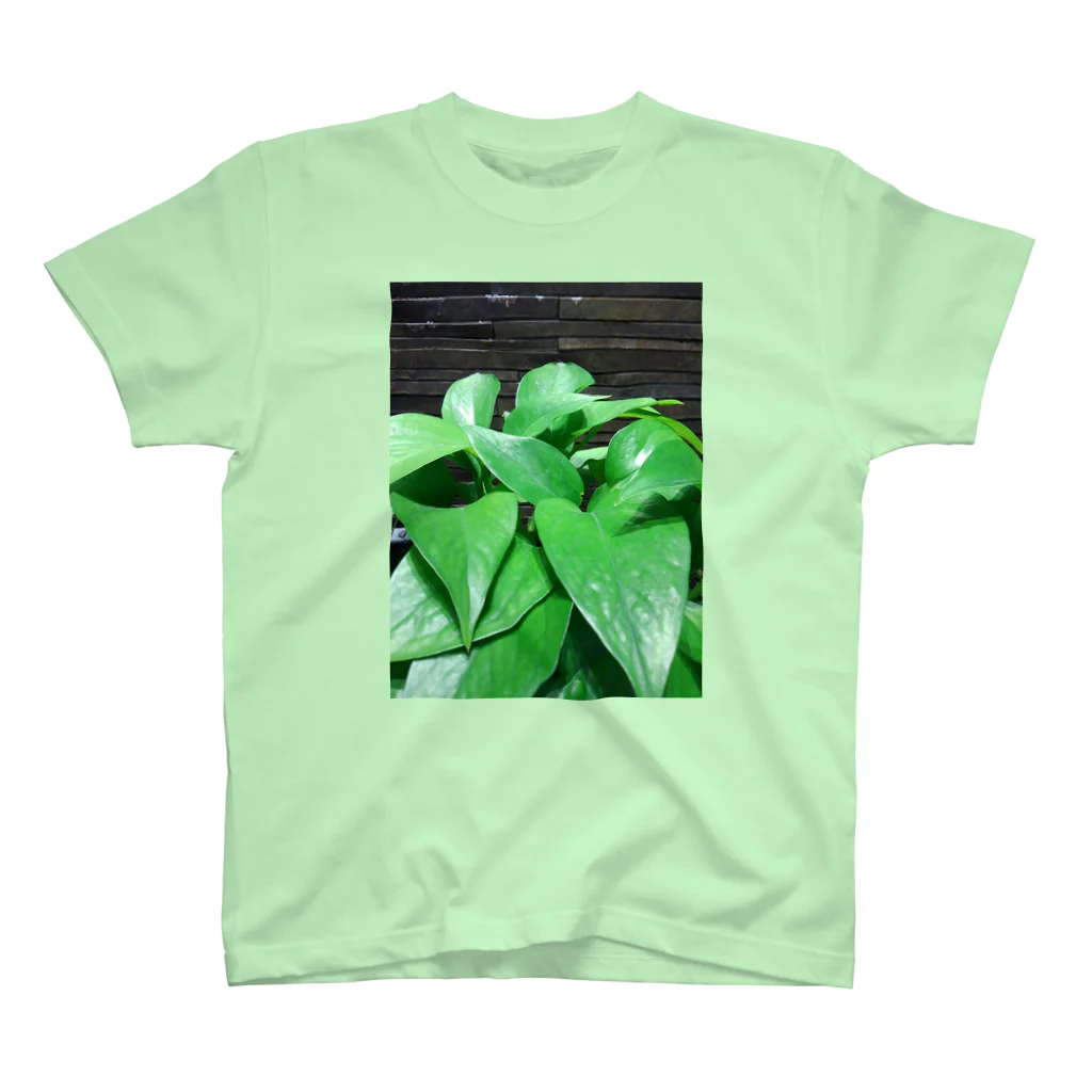 koasaichiのgreen Regular Fit T-Shirt