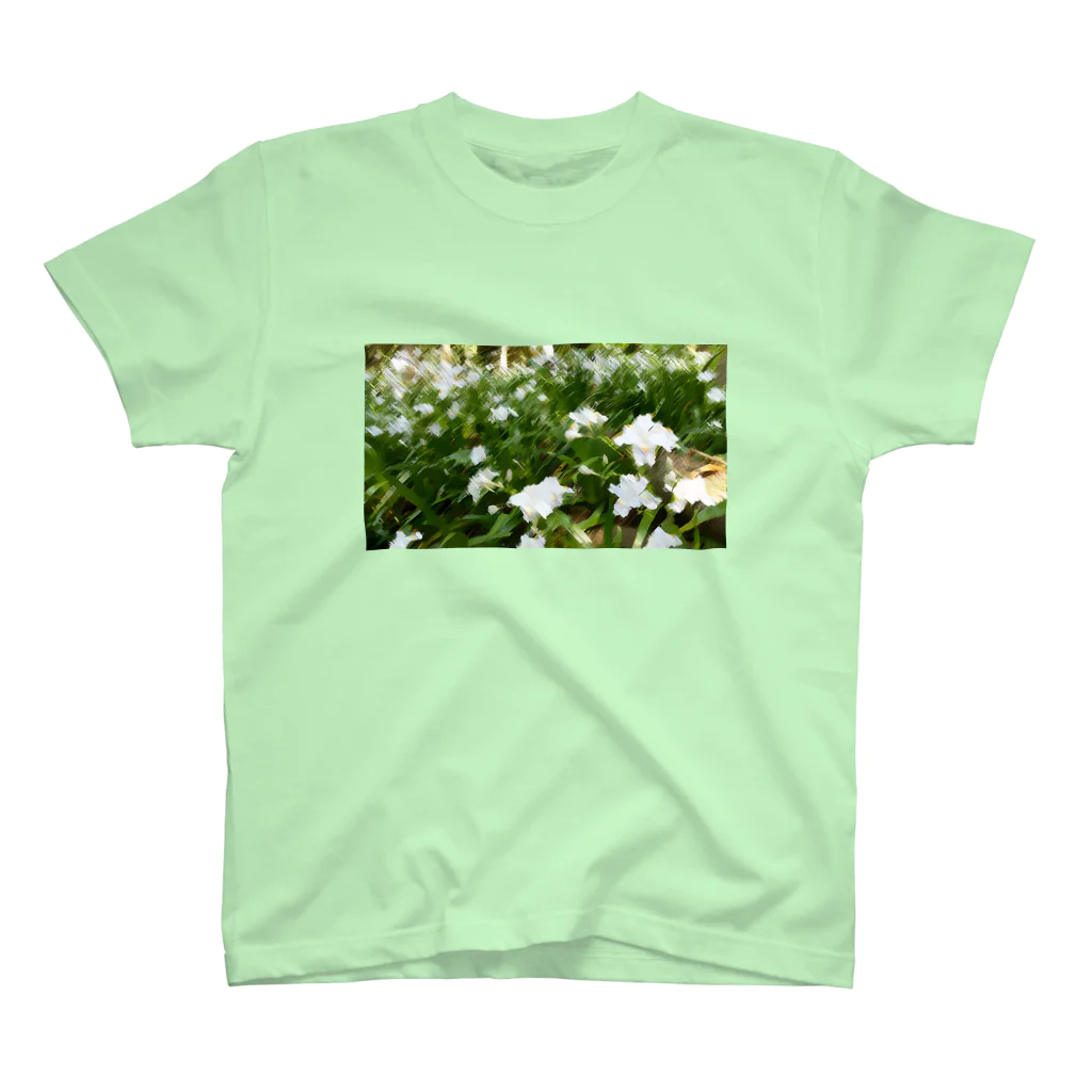 やまとねこのシャガの花畑 スタンダードTシャツ