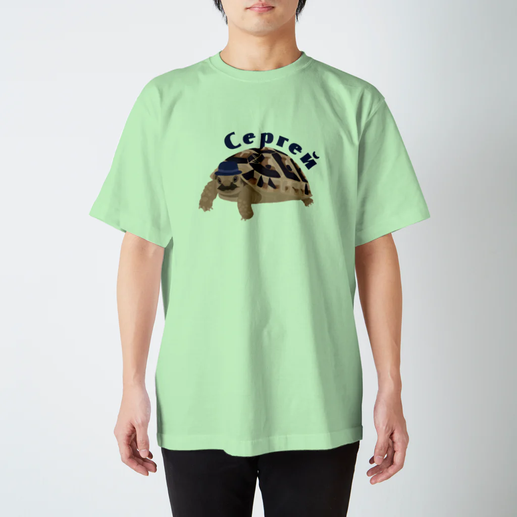 カメの歩みのギリシャリクガメのセルゲイくん スタンダードTシャツ