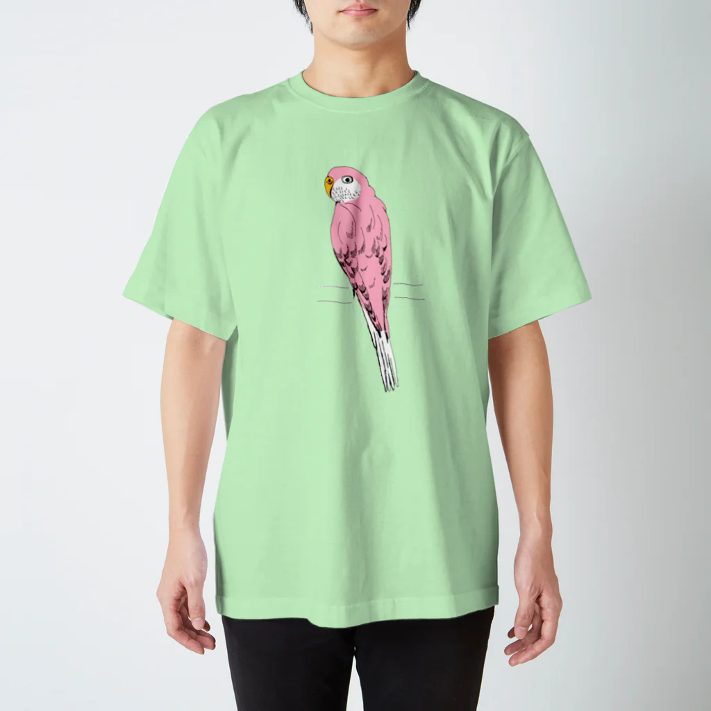NIKORASU GOのアキクサインコ＜文字なし＞（Tシャツ・パーカー・グッズ・ETC） Regular Fit T-Shirt