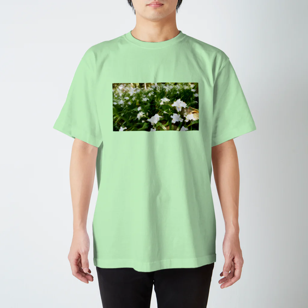 やまとねこのシャガの花畑 スタンダードTシャツ