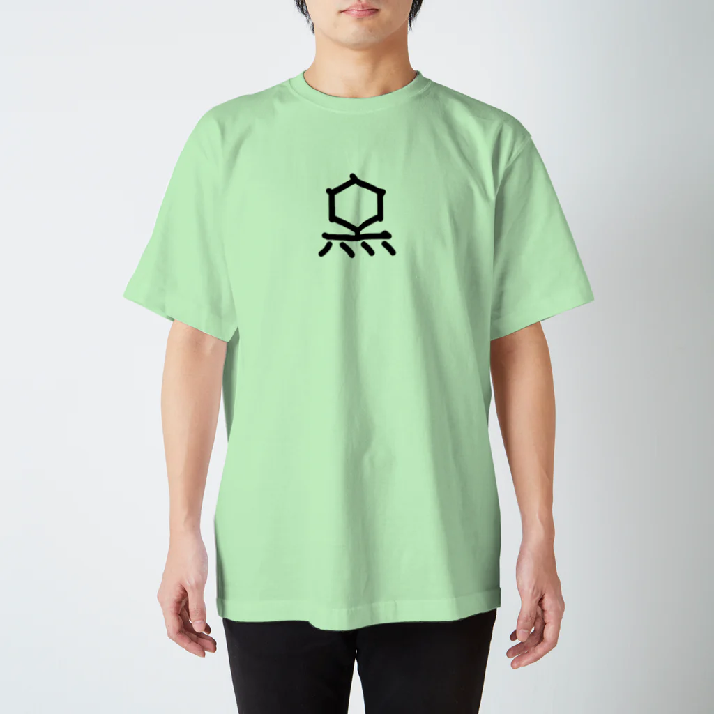 旦那芸術の無用漢字0075：Ｔ２ファージ Regular Fit T-Shirt