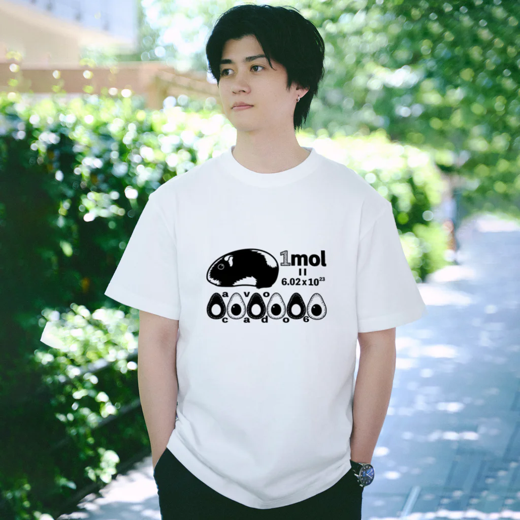 かち乃ちのら　kachino-T-noraのmol Regular Fit T-Shirt