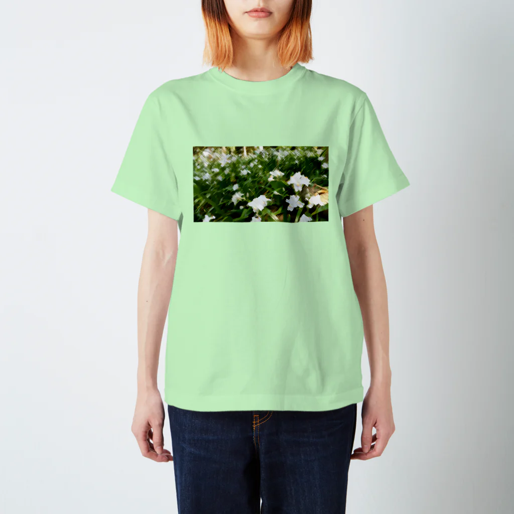 やまとねこのシャガの花畑 Regular Fit T-Shirt