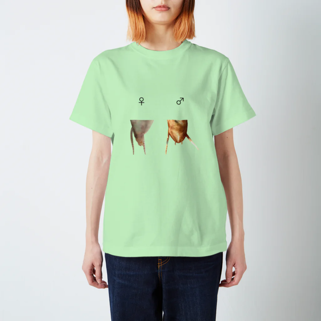 L_arctoaのカマキリの雌雄（背景透過ver） スタンダードTシャツ