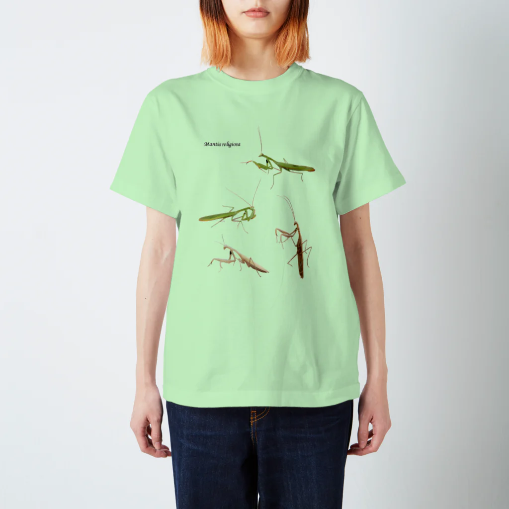 L_arctoaのウスバカマキリ（背景透過ver） Regular Fit T-Shirt