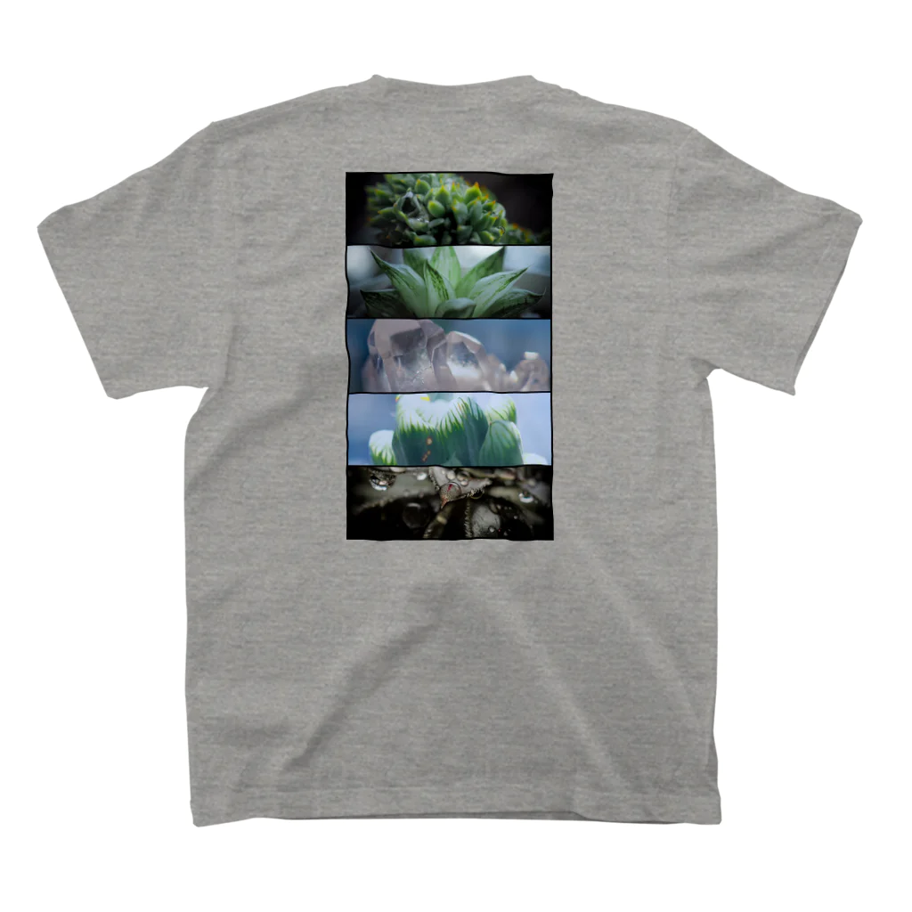 殿下と爬虫類。の多肉植物のある生活 Regular Fit T-Shirtの裏面