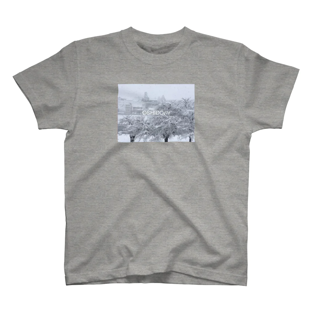 OSHIDORI SHOPのおしどり_豪雪 Regular Fit T-Shirt