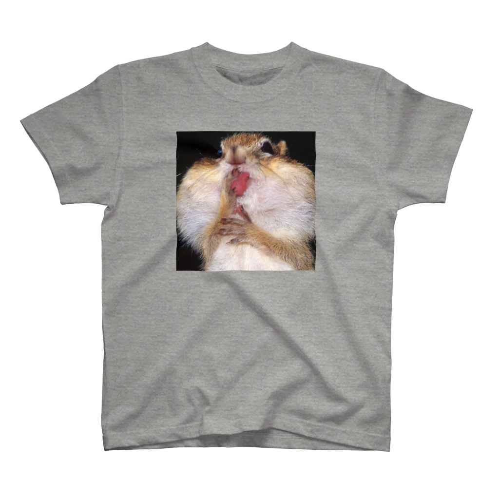 【理想の笑顔を】動物を好きな全ての人が豊な人生を送るための雑貨屋◆にこらびの無意識に舌を出すエゾシマリス Regular Fit T-Shirt