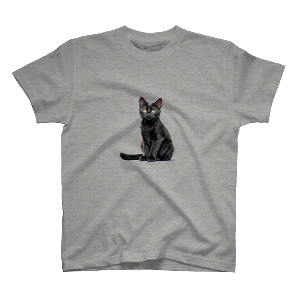 日向ぼっこの黒猫ちも（シンプル） スタンダードTシャツ