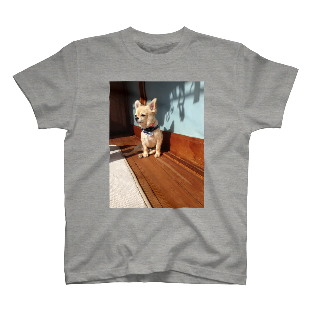 愛犬と満喫ライフのペアルック（縁側とアレックス）Tシャツ Regular Fit T-Shirt