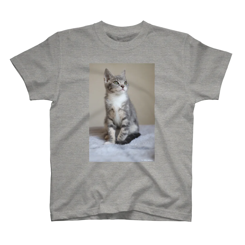 Aiko Nakanoのcat_20190306_0982 Regular Fit T-Shirt