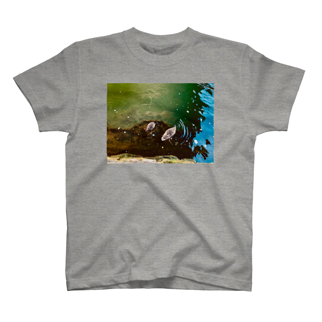 osashimeの川辺の鳥ありがちシリーズ スタンダードTシャツ