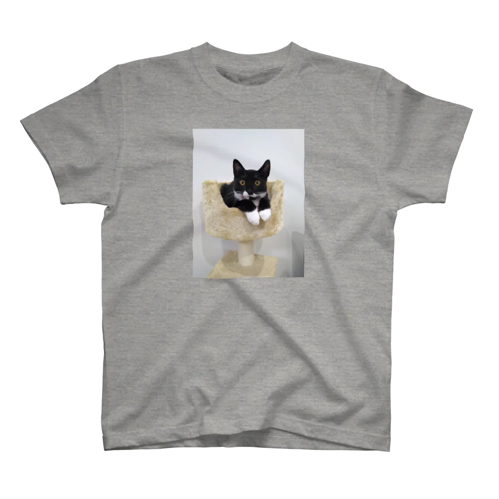 ミルクどりのくつしたねこ スタンダードTシャツ