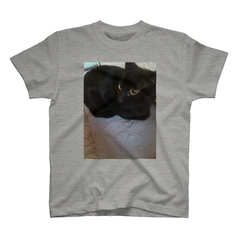AtelierLovenestの新参猫 Regular Fit T-Shirt