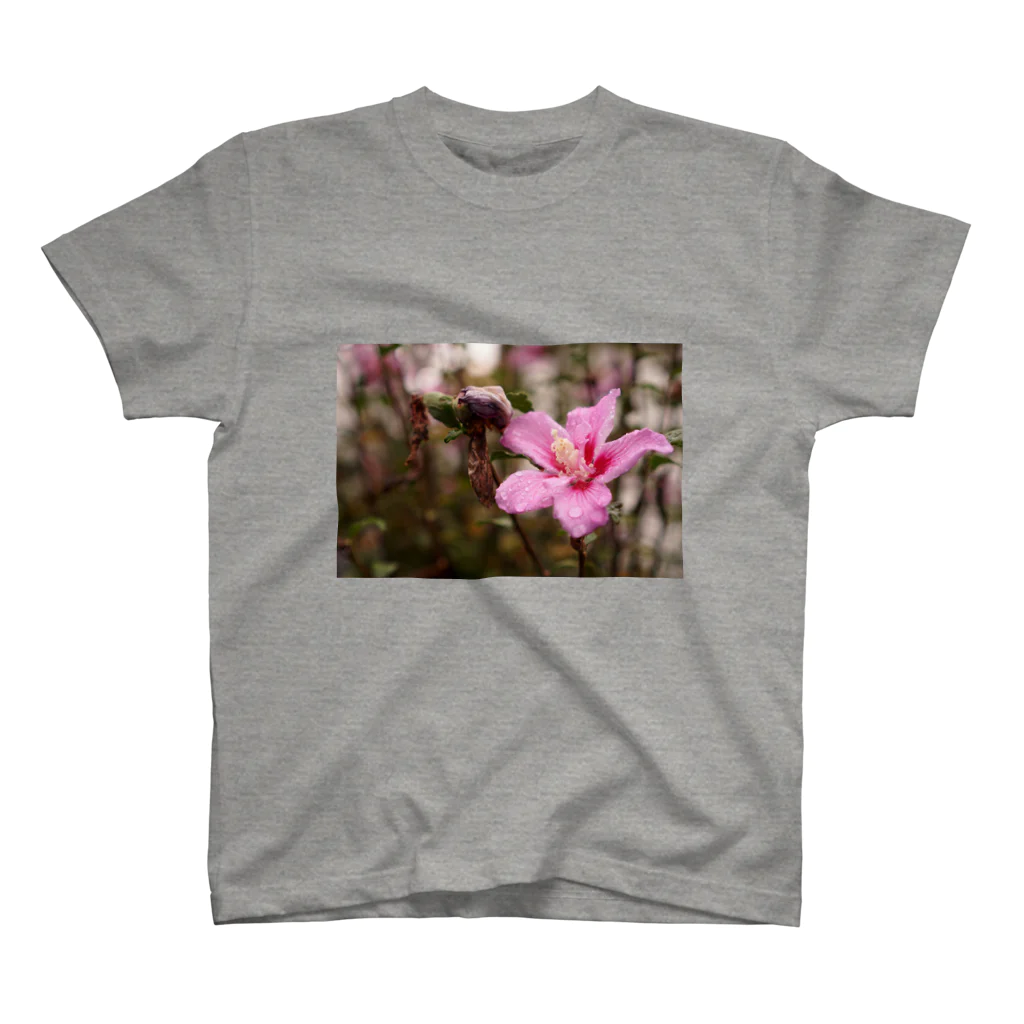 photoちゃんの花 スタンダードTシャツ