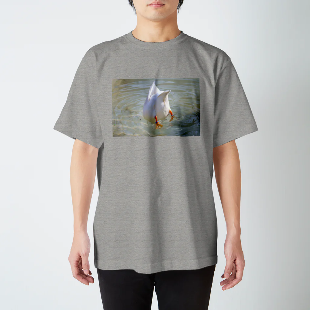 myopia hyperopiaのおしり スタンダードTシャツ