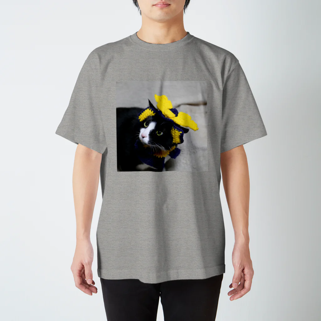 ひいらぎ たえの兜を被った太郎 スタンダードTシャツ