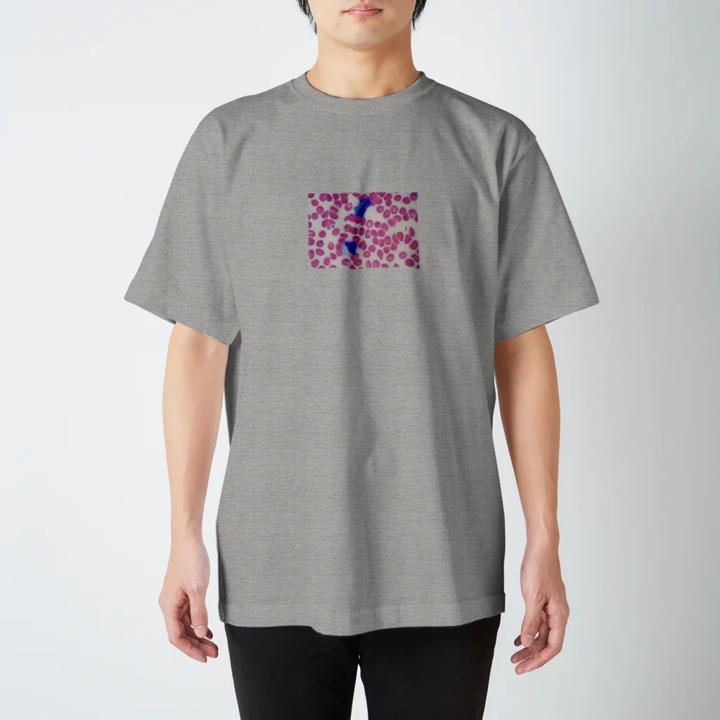 大衆呉服屋 Yのキス病 Regular Fit T-Shirt