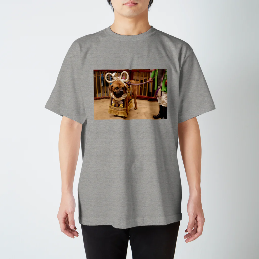 kuwachanshopの土佐犬 スタンダードTシャツ