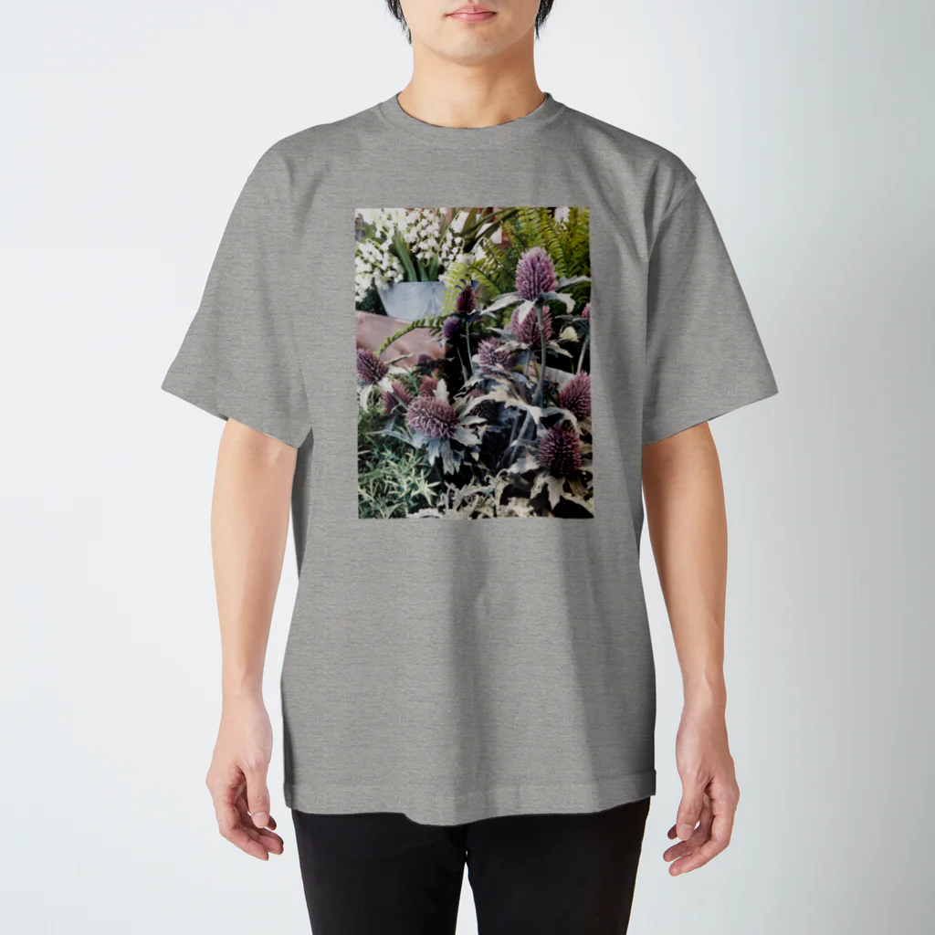 まだおこのbotanical tokyo Regular Fit T-Shirt