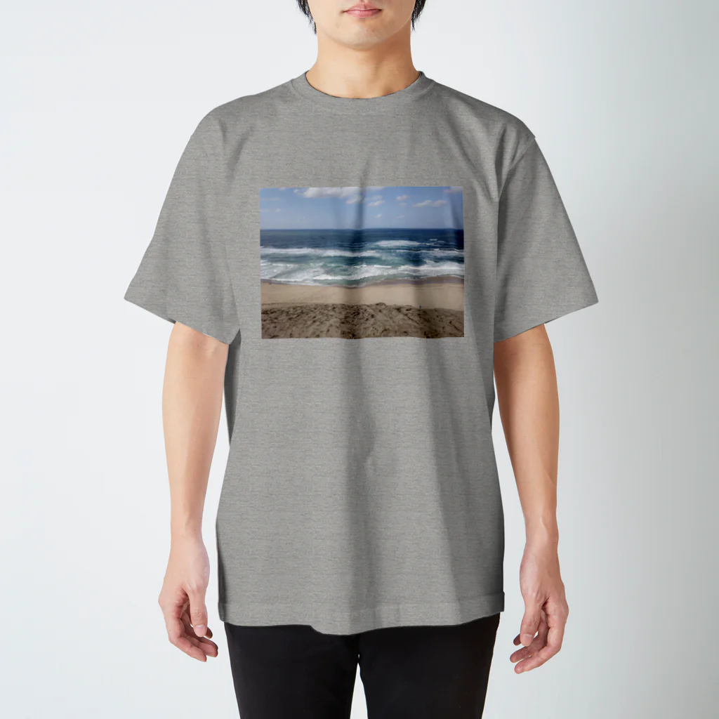 misaoの鳥取砂丘 Regular Fit T-Shirt