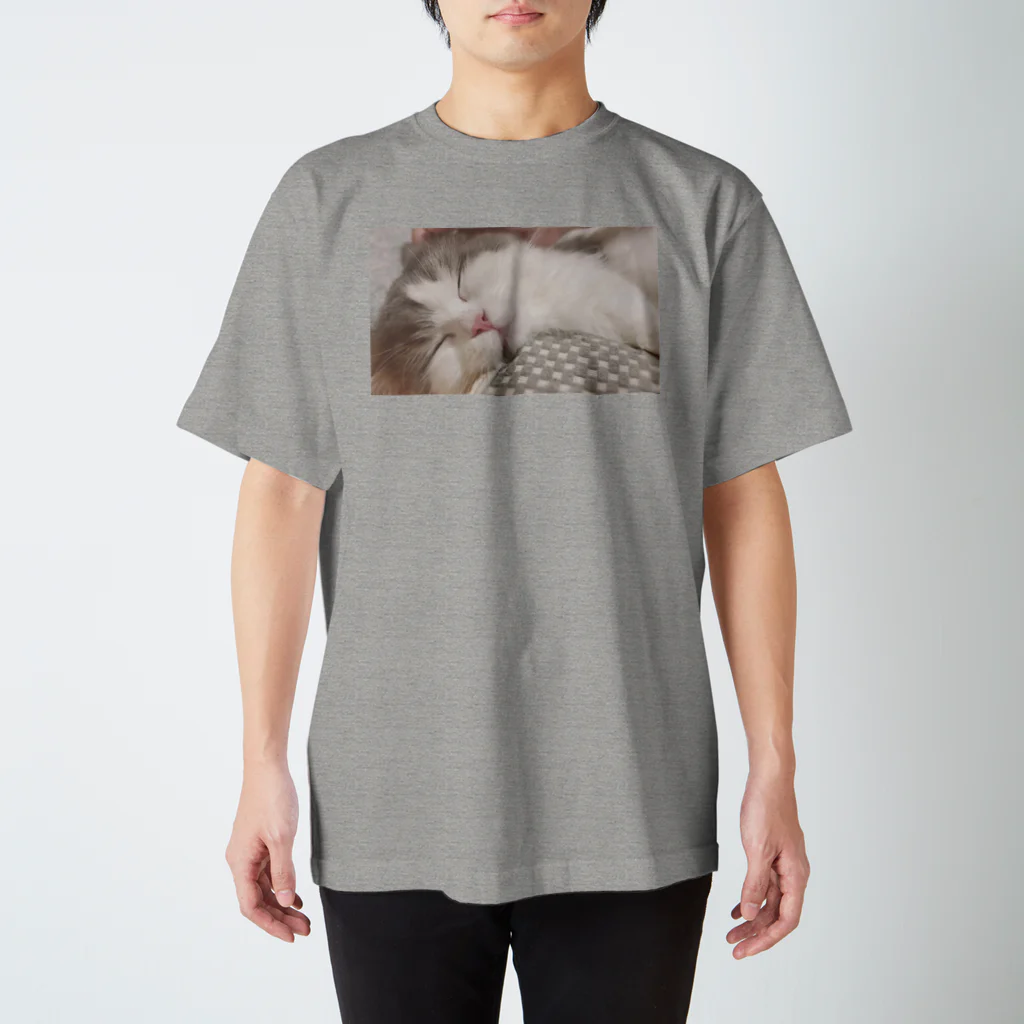 Hasumonoの眠ねこ スタンダードTシャツ