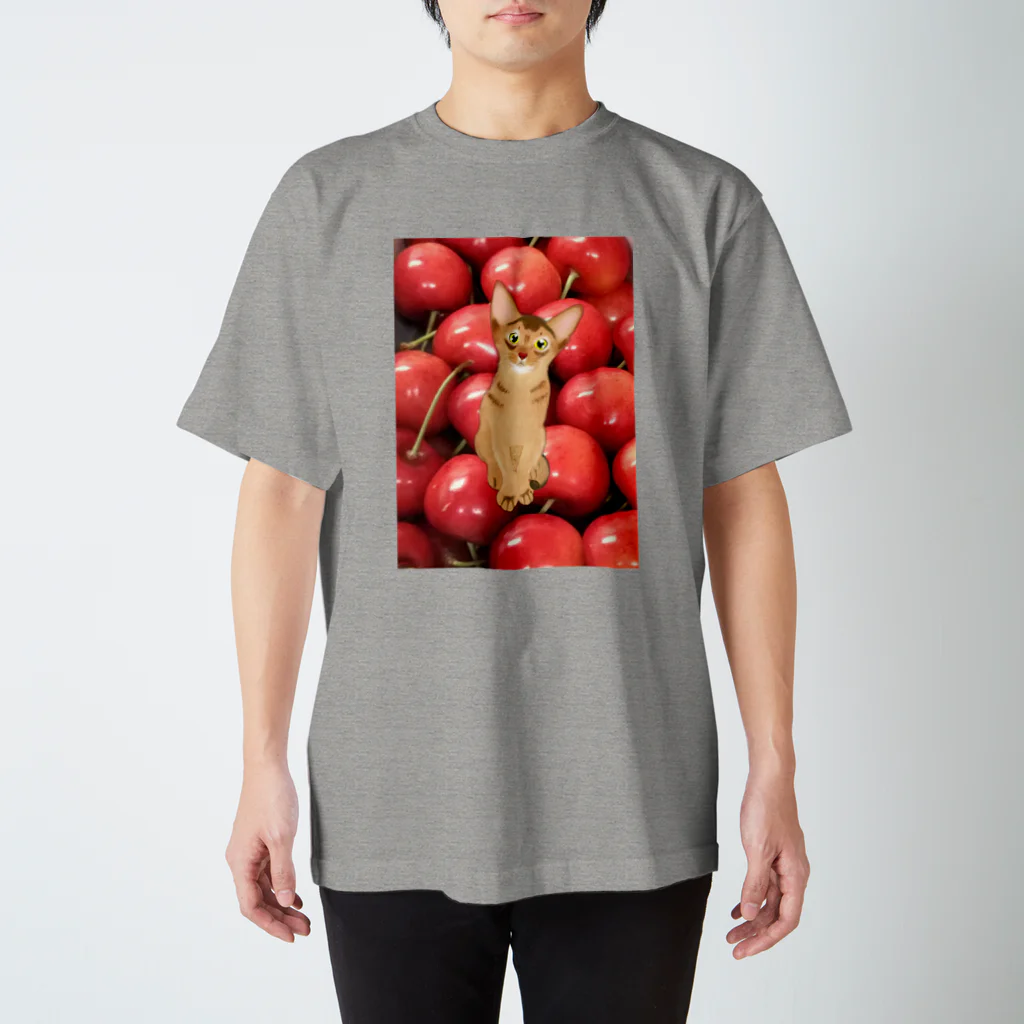 Akijiのアビにゃんとサクランボ Regular Fit T-Shirt