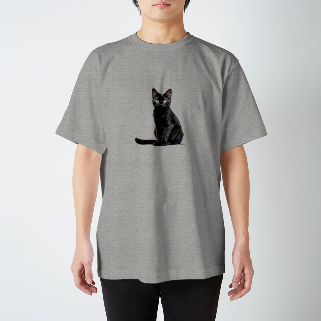 日向ぼっこの黒猫ちも（シンプル） スタンダードTシャツ