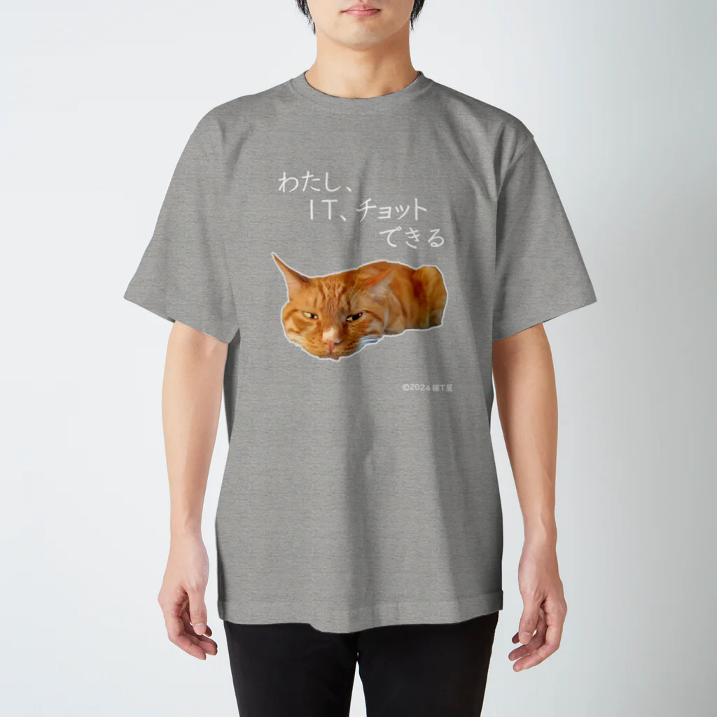 猫T屋のIT系猫 ・わたしITチョットできる / スタンダードTシャツ スタンダードTシャツ