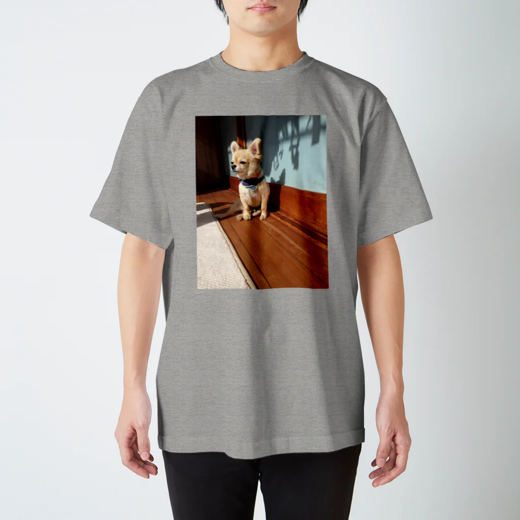 愛犬と満喫ライフのペアルック（縁側とアレックス）Tシャツ Regular Fit T-Shirt