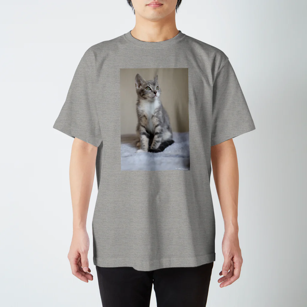 Aiko Nakanoのcat_20190306_0982 スタンダードTシャツ