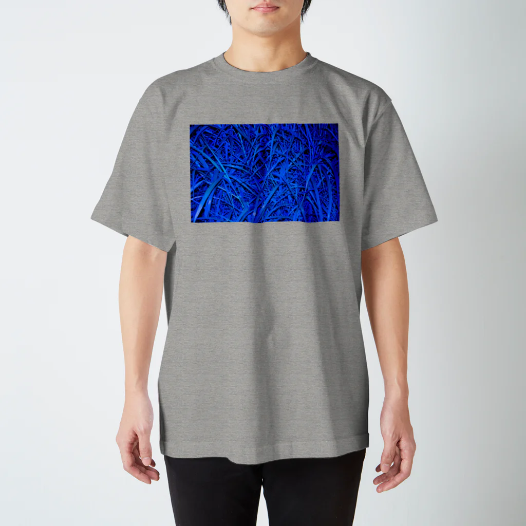 ﾌｾﾘﾝﾀﾛｳのimg_kusa003.jpg Regular Fit T-Shirt