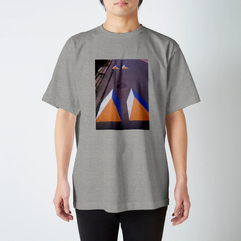 灰と骨のイメージハンプ Regular Fit T-Shirt