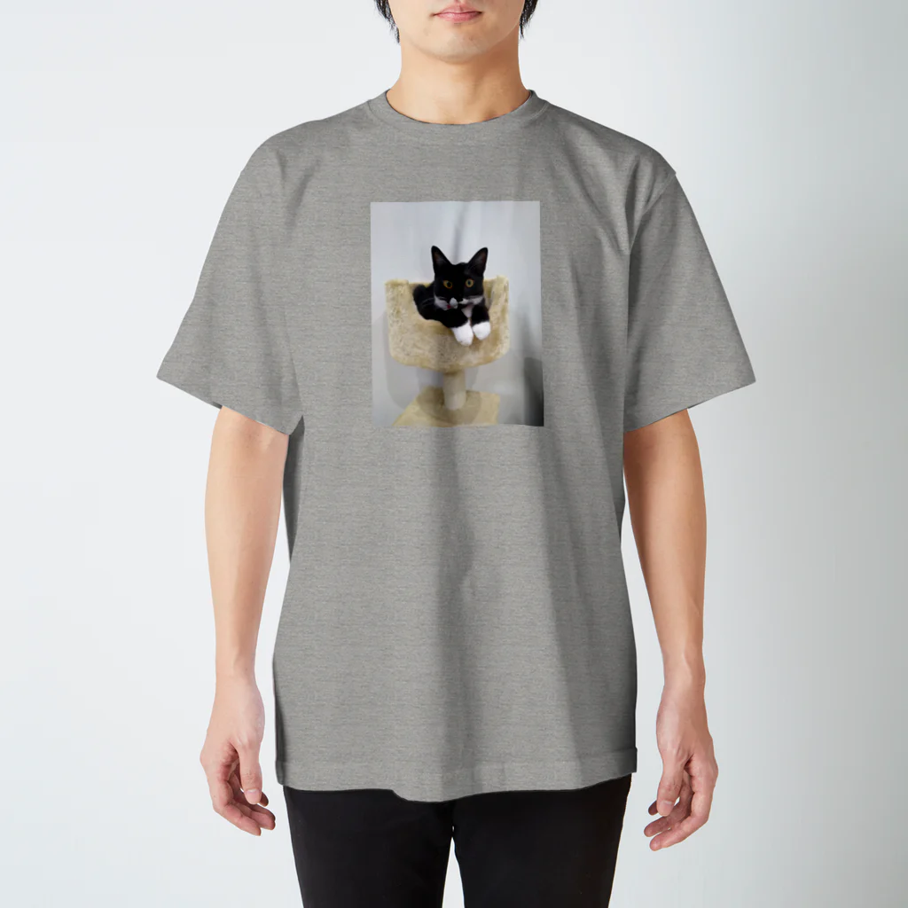 ミルクどりのくつしたねこ Regular Fit T-Shirt