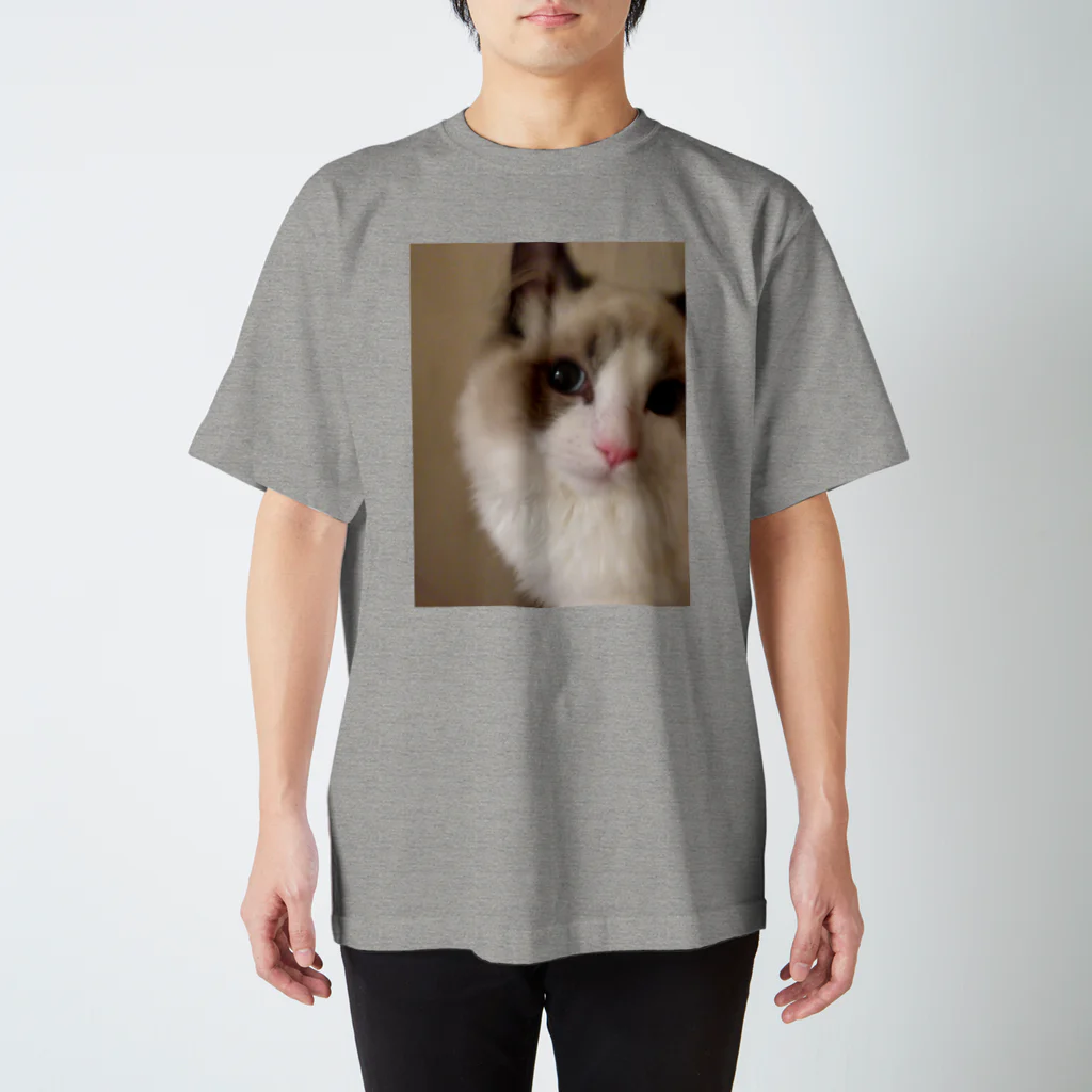 makinboのねこ。つみれフォトジェニック Regular Fit T-Shirt