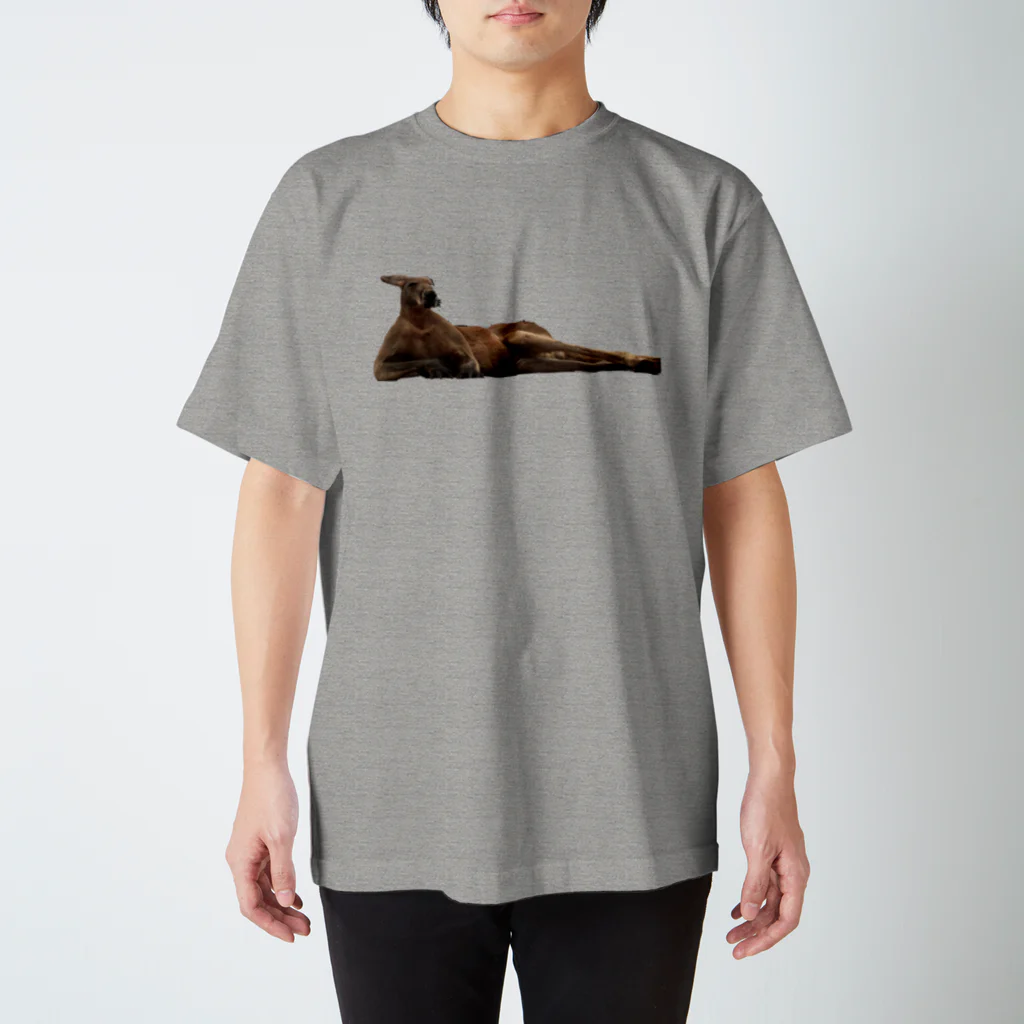 stskcのカンガルー スタンダードTシャツ