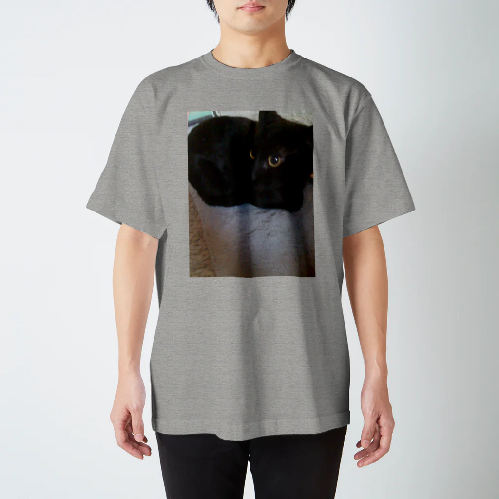 AtelierLovenestの新参猫 Regular Fit T-Shirt